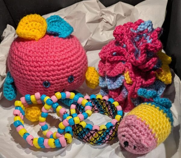 Medium Pride Mystery Box!